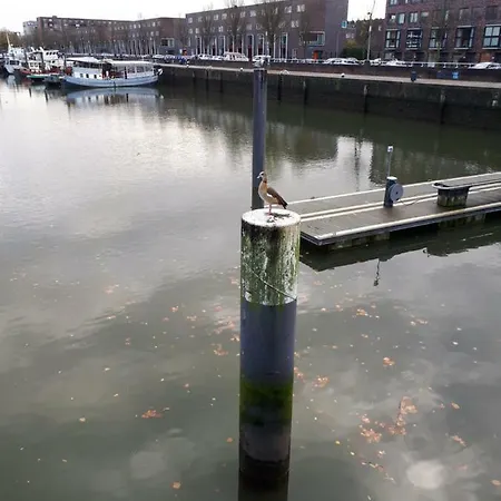 Unitas Rotterdam